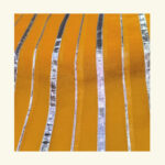 Doriya Fabric ( Utsav Special )